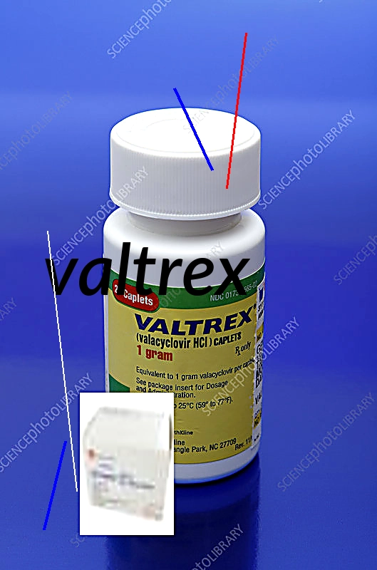 Valtrex 500 mg prix